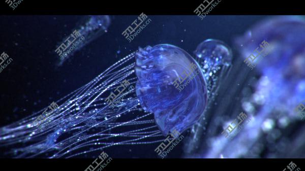 images/goods_img/20210312/jellyfish ANIMATED/1.jpg